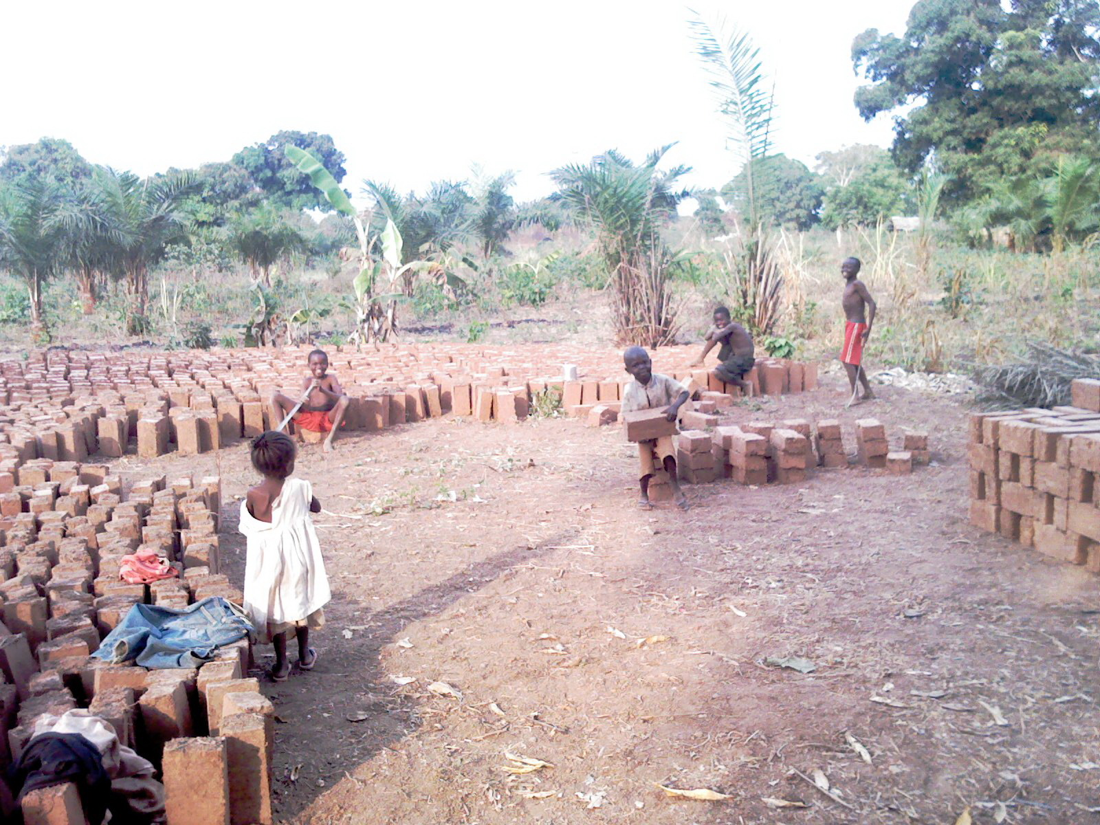 orphans helping with bricks